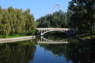 公园风景  