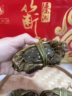 大闸蟹