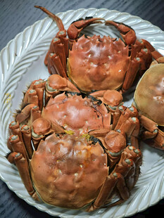 清蒸大闸蟹