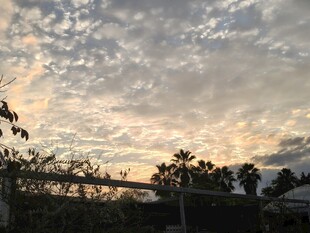 黄昏时分的天空与树影