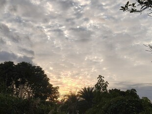 黄昏时分的树林与天空