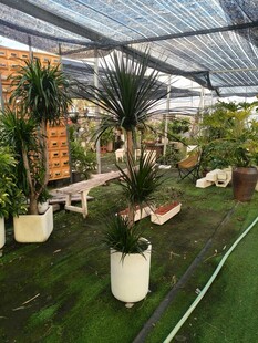 室内绿植景观布置展示