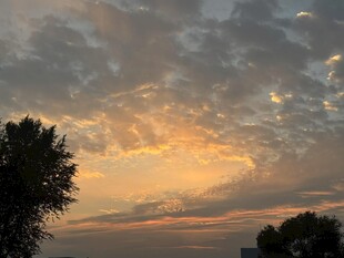 夕阳下的天空与树木美景