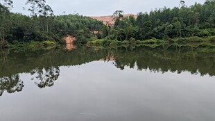 宁静湖畔的自然美景