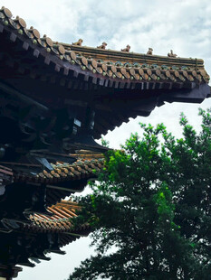 中式古建筑屋檐与绿树