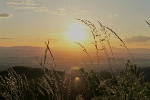夕阳下的草地美景