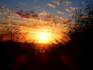 夕阳下的自然剪影美景