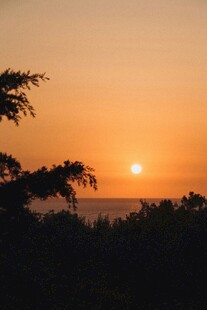 夕阳下的树梢剪影