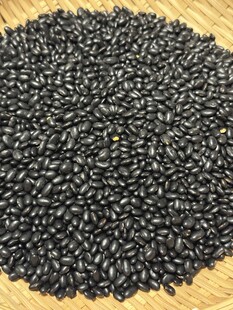 黑豆