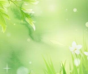 清新绿意春日花草美景