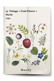 15款入复古水果花卉海报