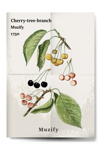 3款入复古樱桃海报