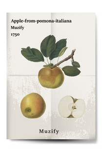 复古苹果植物海报