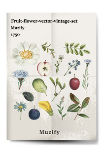 15款入 复古花卉水果海报