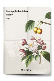 复古海棠果树植物海报