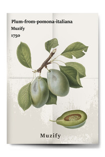 复古绿李子水果海报