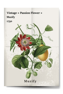 复古百香果和花卉植物海报