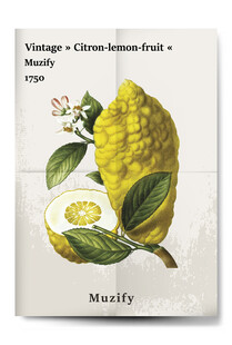 复古拧檬果水果海报