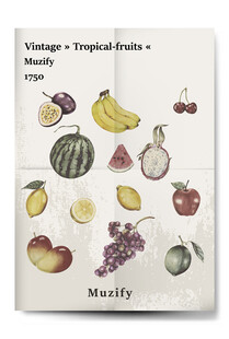 13款入复古水果海报