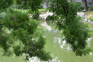 公园风景 