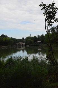 公园风景 
