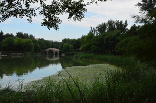 公园风景 