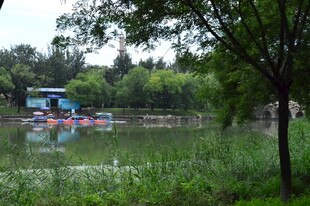 公园风景  
