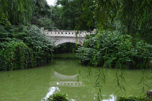 公园风景  