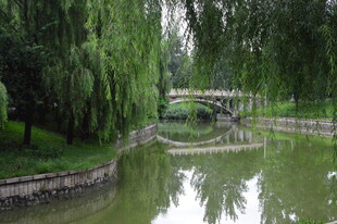 公园风景  