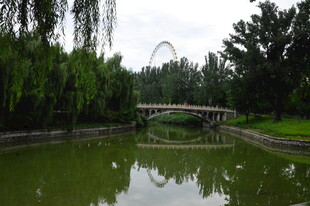 公园风景  