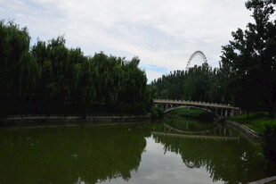 公园风景 