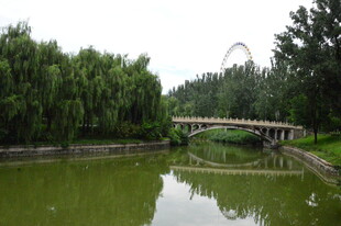公园风景  