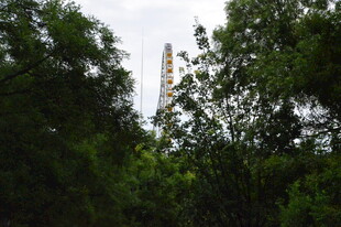 公园风景  