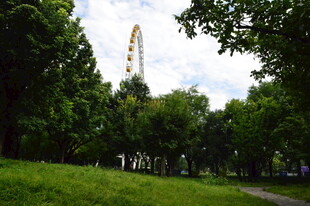 公园风景 
