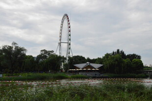 公园风景  