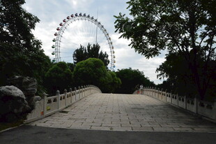 公园风景  