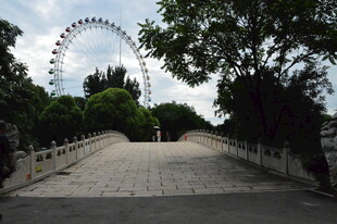 公园风景  