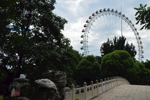 公园风景  
