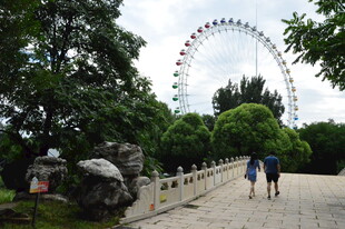 公园风景 