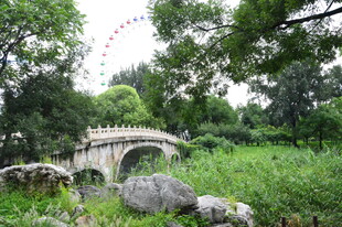 公园风景 