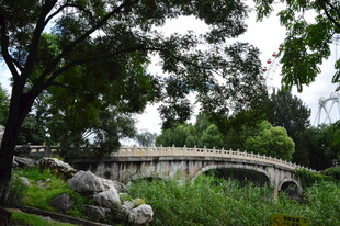 公园风景  