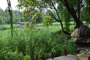 公园风景  