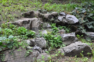 公园风景 