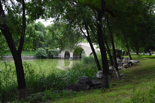 公园风景 