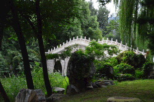 公园风景 