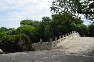 公园风景 