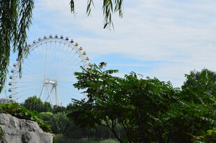 公园风景 