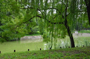 公园风景 