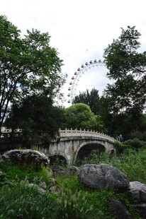 公园风景 