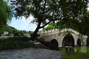 公园风景  